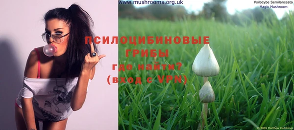 спиды Вязники