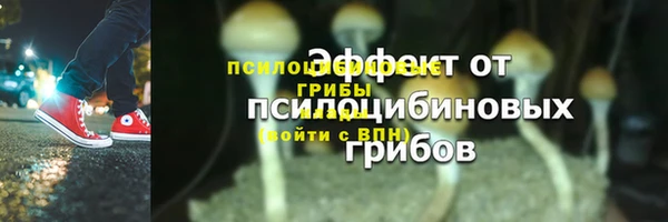 спиды Вязники