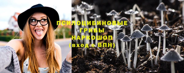 2c-b Вязьма