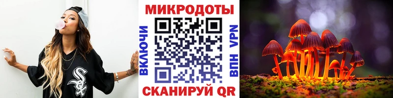 Купить закладки  Кириши  Галлюциногенные грибы мицелий 